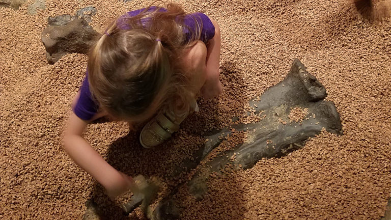 Academy of Natural Sciences in Philadelphia - Dinosaur Dig - Where the Wild Kids Wander