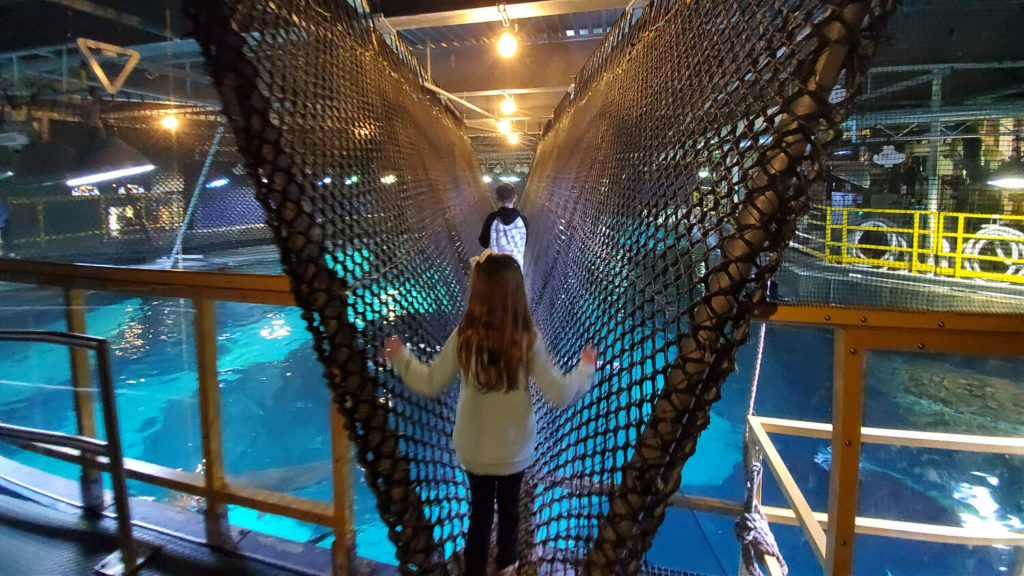 Adventure Aquarium in New Jersey: What to Expect on Your Visit - ADventure Aquarium In New Jersey 5 1024x576