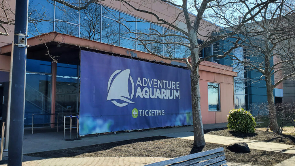 Adventure Aquarium in New Jersey: What to Expect on Your Visit - Where the  Wild Kids Wander