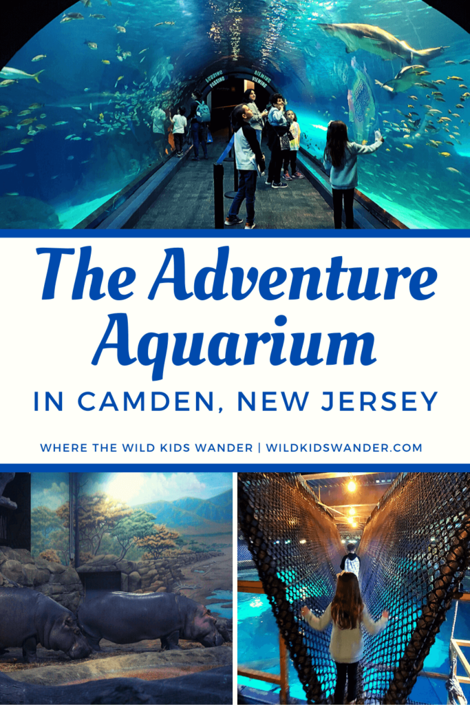 Adventure Aquarium in New Jersey - The ADventure Aquarium In CamDen New Jersey 1 683x1024