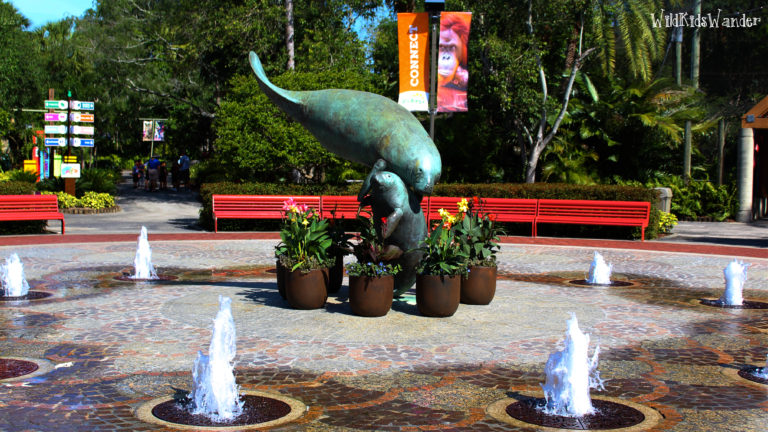 ZooTampa at Lowry Park - Fountain