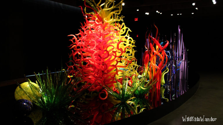 chihuly collection st pete 4