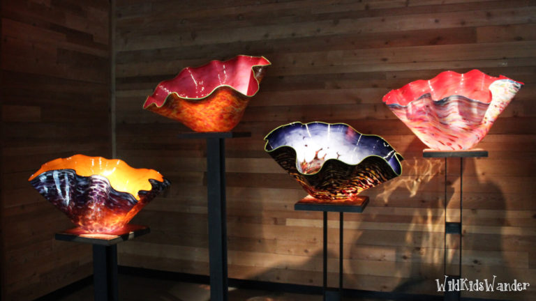 chihuly collection st pete 5 (1)