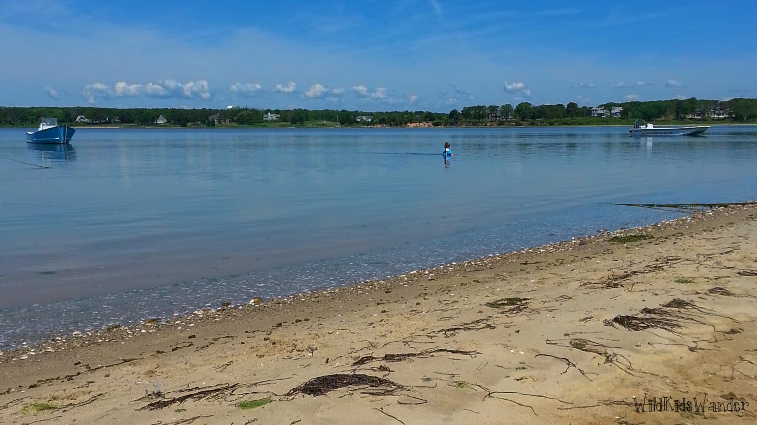 Visit these 5 jaws filming locations on martha s vineyard where the