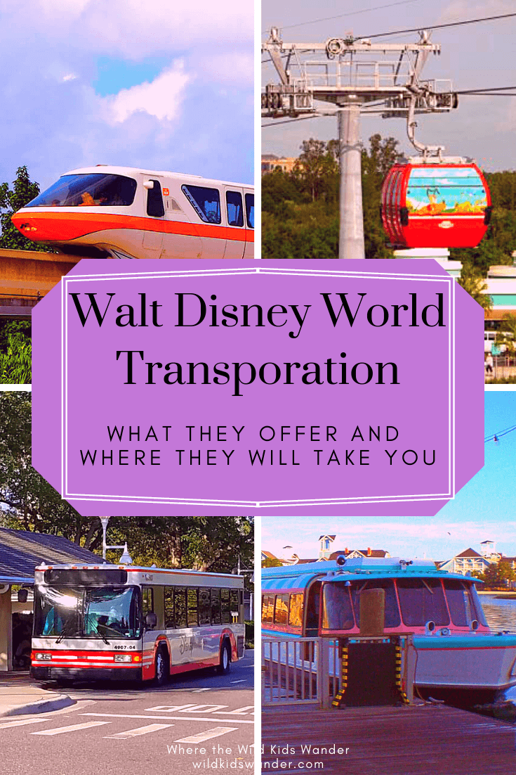 Walt Disney World Transportation What Is Offered and Where It Goes