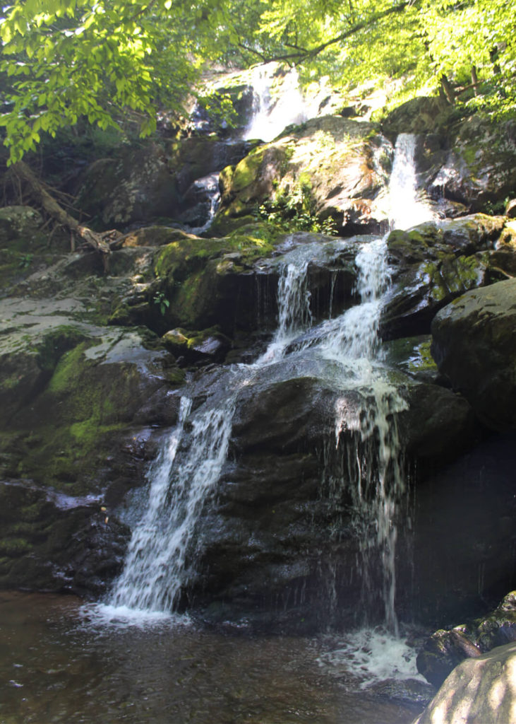 Dark Hollow Falls Trail at Shenandoah National Park - Where the Wild ...