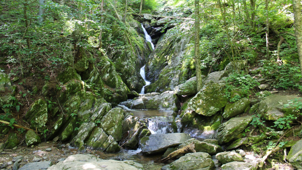 Dark Hollow Falls trail in Shenandoah National Park