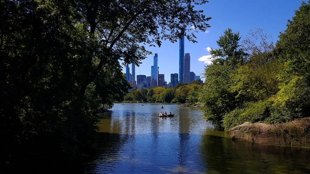 11 Fun Things to Do In Central Park For Kids - Where the Wild Kids Wander