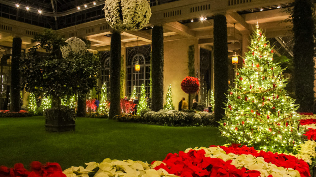 Longwood Gardens Christmas With Kids What To Know Before You Go