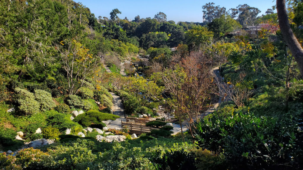 Japanese Friendship Garden in Balboa Park