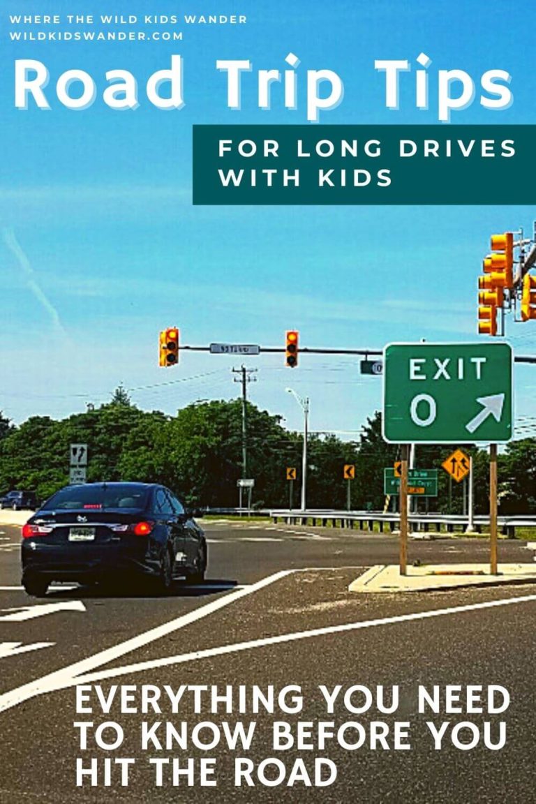 Road Trip Tips for Long Car Drives With Kids - Where the Wild Kids Wander