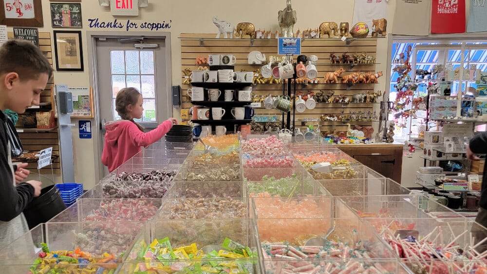 Two kids pick out candy at Mr. Ed's Elephant Museum and Candy Emporium near Gettysburg