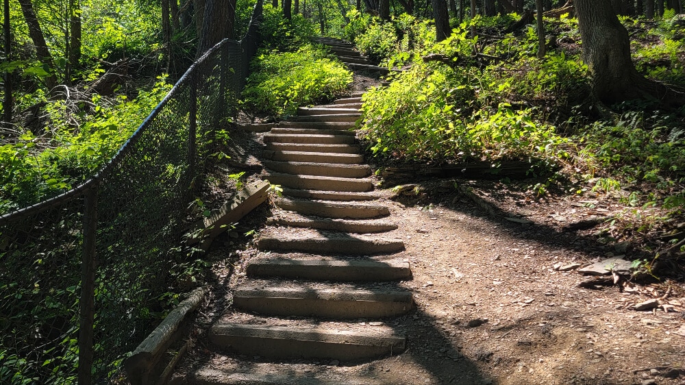 buttermilk falls in Ithaca - gorge trail steps