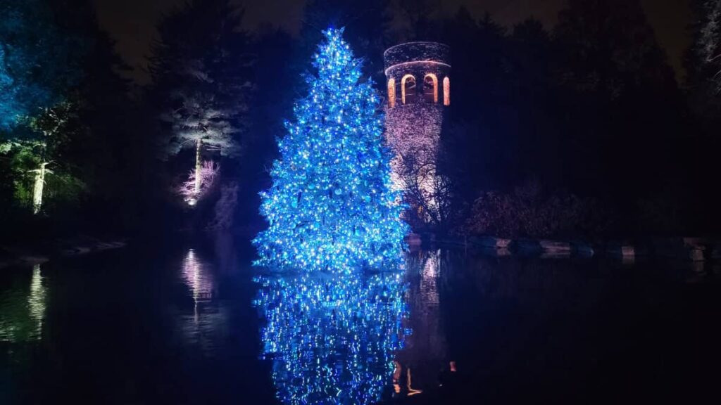 a large tree lit up with blue lights reflects off the water near the bell tower at Longwood Gardens