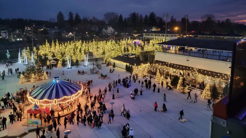 a view looking down from a ferris wheel at a carousel and christmas trees lit up at night