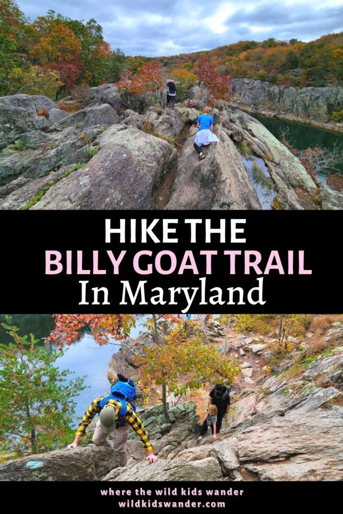 One of the most popular hikes in Maryland is Billy Goat Trail, section A by Great Falls. 30 minutes from Washington, DC and an hour from Baltimore. This trail offers lots of rock scrambling and a 50-foot traverse.