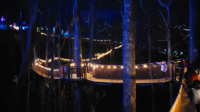 Anakista Ride Anakeesta in Gatlinburg: A Review and Everything You Need to Know ...