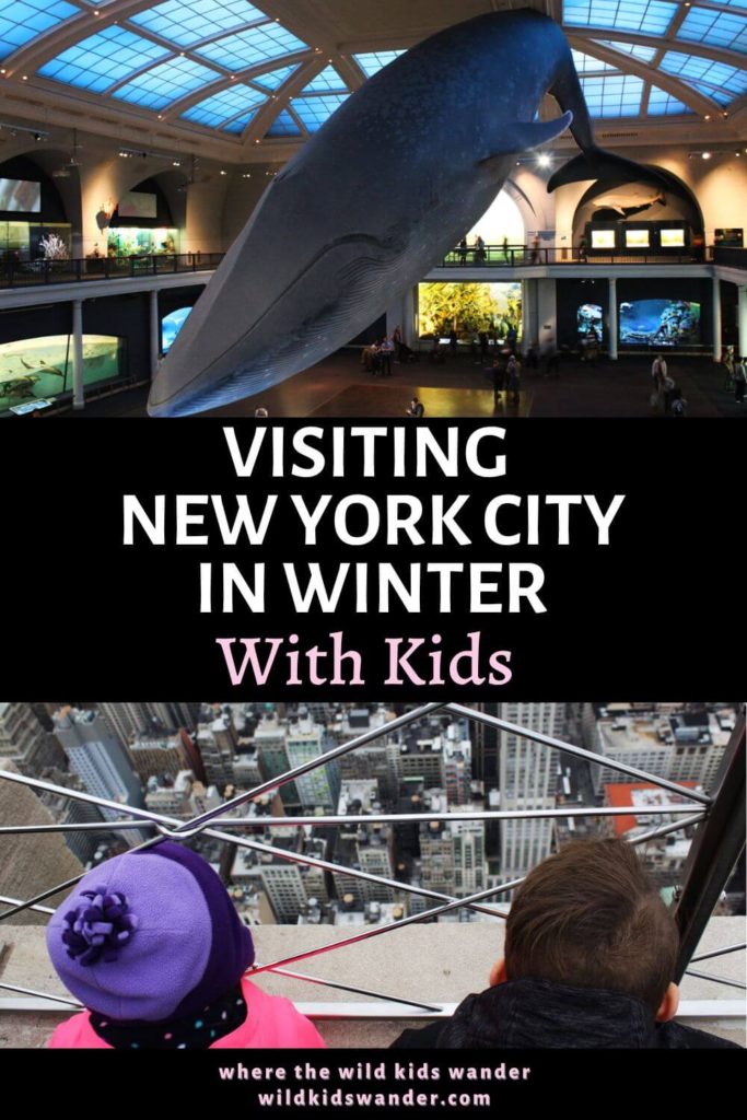 New York City is fun in the winter! And there are plenty of things to do with kids. We share some of our favorite things to do in New York City in winter with kids. Some are even FREE!