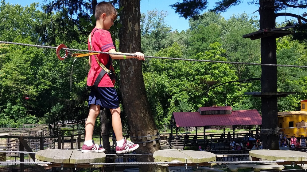 Boy crossing ropes obstacle at Elmwood Park Zoo Treetop Adventures in Norristown