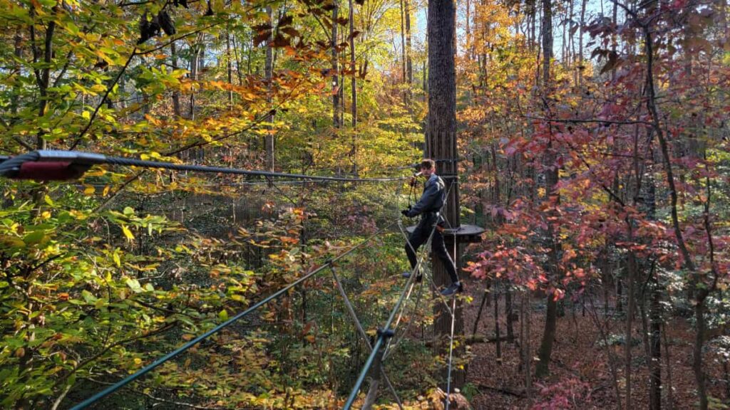 a teenage boy crosses an obstacle in the trees at Go Ape! in Williamsburg