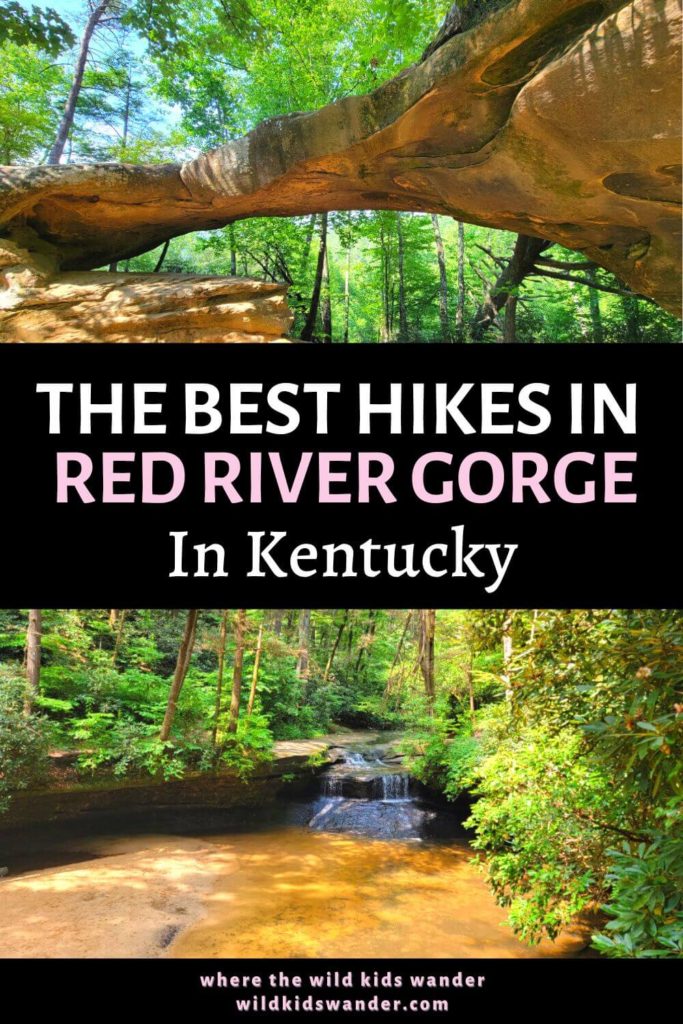 Kentucky is home to over 100 natural arches and the Red River Gorge has many trails that lead to them. These are some of the best hikes in the Red River Gorge you can do with your kids on your next vacation to Kentucky.