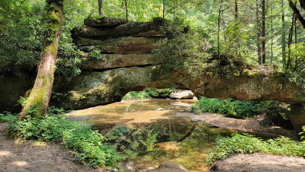 best hikes in the red river gorge - rock bridge arch