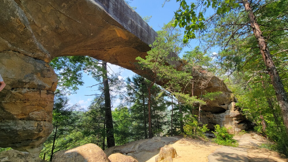 best hikes in the red river gorge - photo of underside of sky bridge arch 