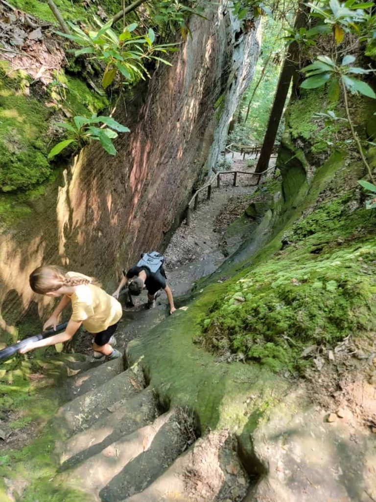 Hiking To Natural Bridge In Red River Gorge And More Where The   Natural Bridge Red River Gorge Devils Gulch Stairs 768x1024 