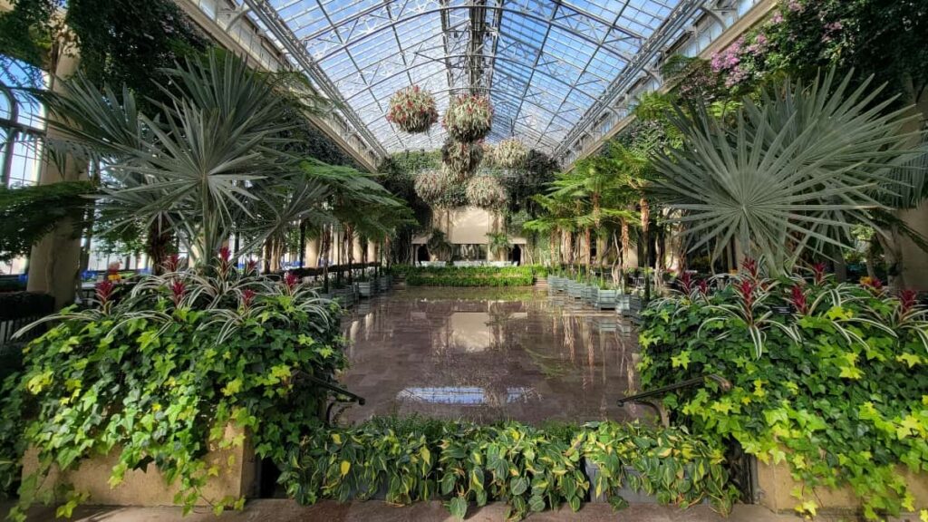 The conservatory in Longwood Gardens is the perfect place to warm up when it's winter in Pennsylvania
