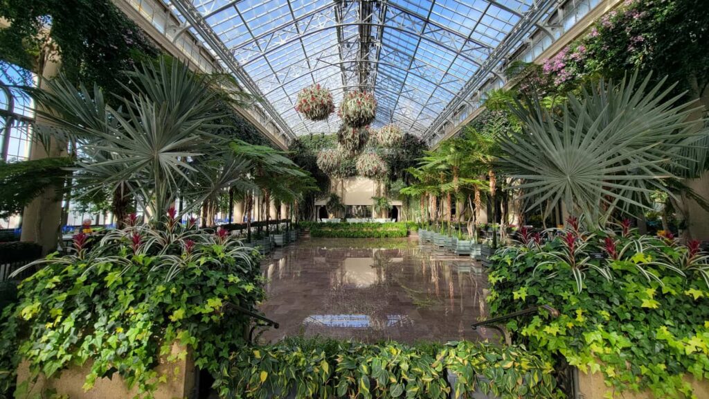 The Longwood Gardens conservatory is the perfect place to warm up when it's winter time in Philadelphia
