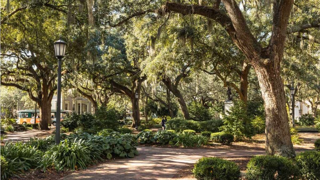 View of a sidewalk surrounded by green plants and trees in Savannah