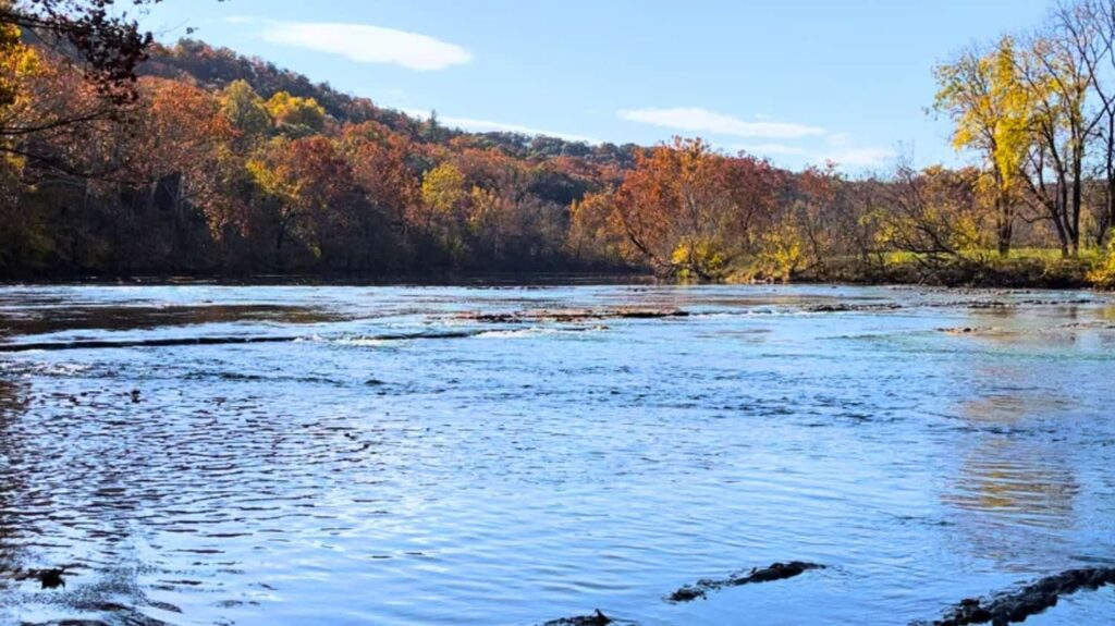 Shenandoah River with trees in the background taken during fall