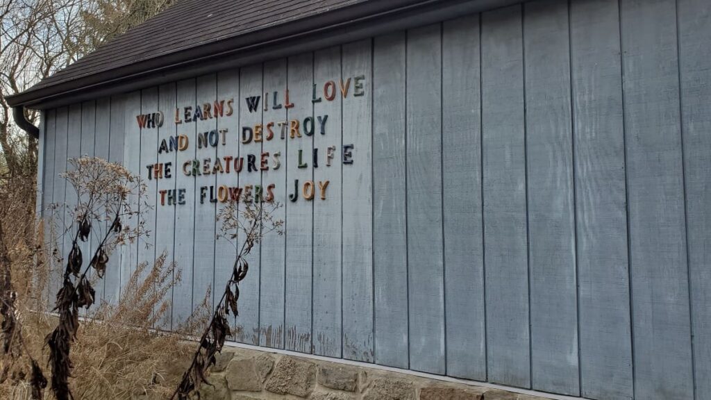 Side of a gray building with lettering that reads "who learns will love and not destroy the creatures of life the flowers of joy"