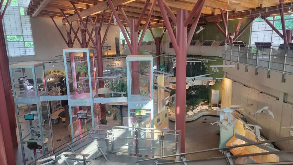 looking out at the exhibits at the Tom Ridge Environmental Center