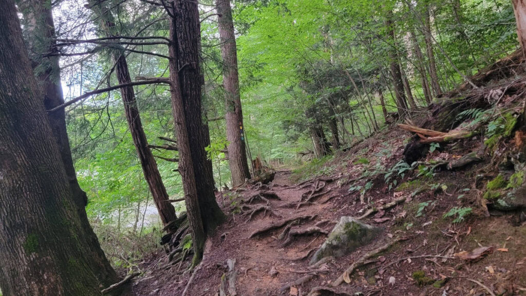 View of the hiking trails at Omni Bedford Springs Resort