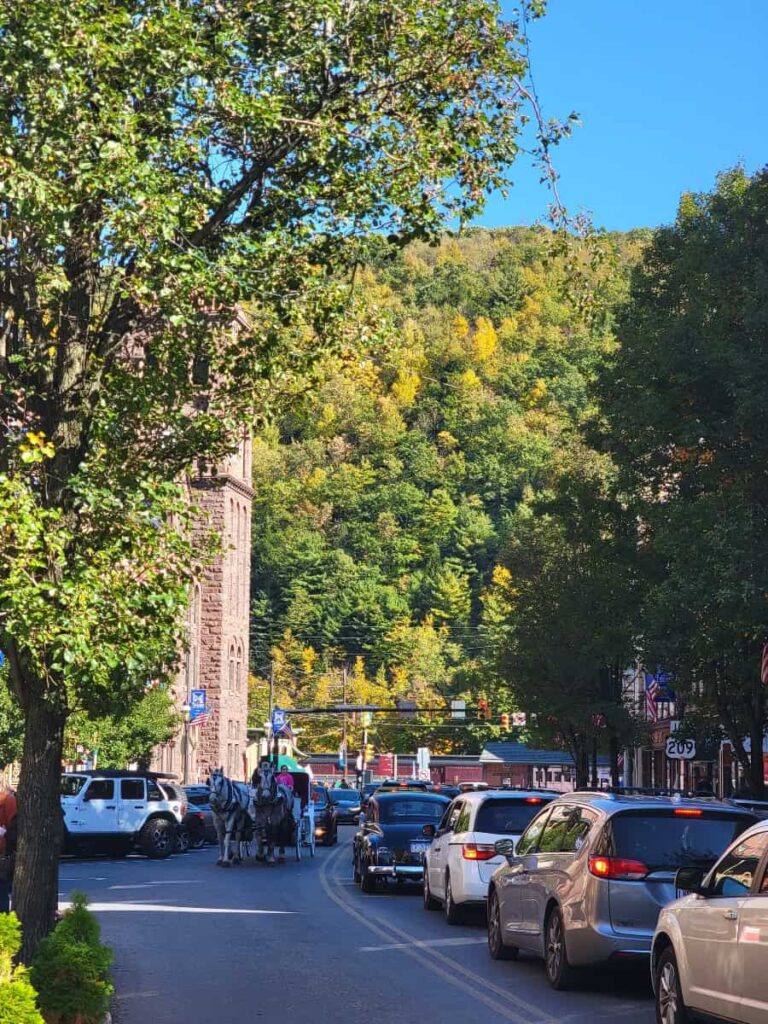 horse pulls a carriage up Broadway in Jim Thorpe as cars drive by