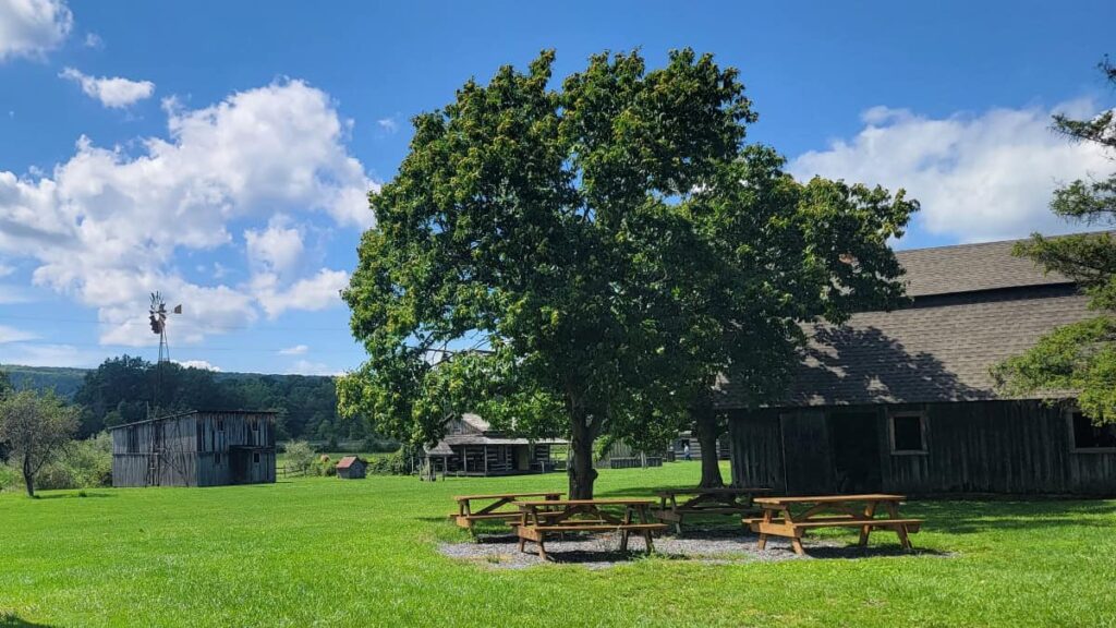 View of picnic tables under a tree next to old building