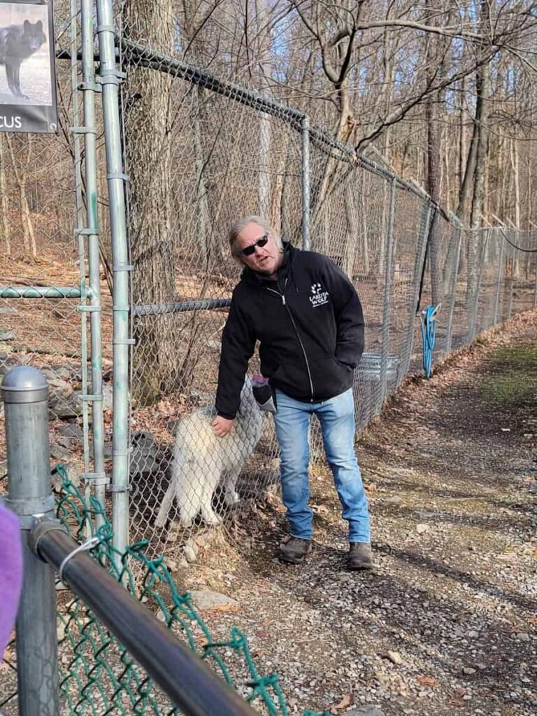 A man pets a wolf through a fence