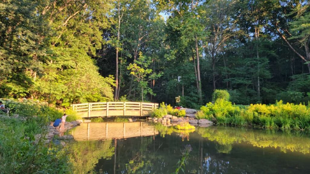 A bridge crosses over one end of a pond that is surrounded by beautiful gardens