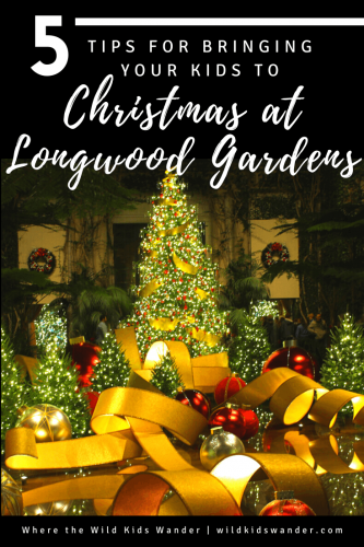 Longwood Gardens Christmas is the ultimate Philadelphia area event! Kids will love exploring and seeing all of the beautiful displays. Read our best tips to make your visit even better. - Where the Wild Kids Wander - Family Travel | Pennsylvania | Delaware | New Jersey