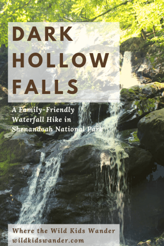 The Dark Hollow Falls Trail is one of best family-friendly waterfall hikes in Virginia. It's one of the most popular hikes in Shenandoah National Park. - Where the Wild Kids Wander - #waterfalltrails #familyhiking #nps