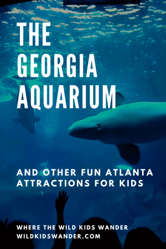 When you visit Atlanta with kids, the Georgia Aquarium is a must-do! Read these tips before you visit, and learn about other Atlanta attractions for kids. - Where the Wild Kids Wander - Atlanta | Family Travel | Weekend Getaways | Travel With Kids | Kids Activities in Atlanta
