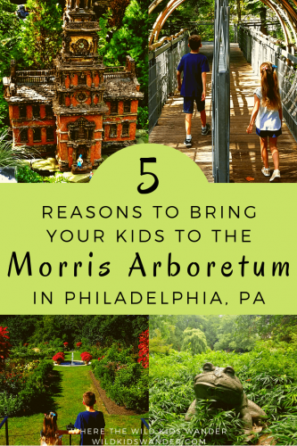 Visit the Morris Arboretum in Philadelphia's Chestnut Hill neighborhood. The 175-acre property is filled with beautiful plants and sculptures. The even have a fun miniature train display that kids will love! - Where the Wild Kids Wander - Philadelphia | Gardens | Family Travel | Pennsylvania