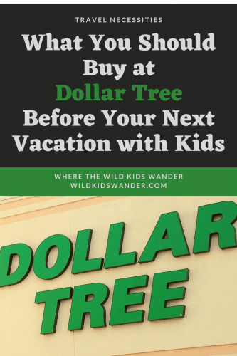 Before your next vacation with kids, stop by your local Dollar Tree and buy these 10 items. - Where the Wild Kids Wander