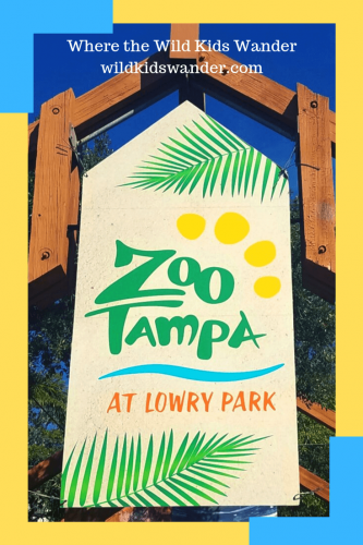 ZooTampa at Lowry Park - What to know before you visit this beautiful zoo in Tampa, Florida - Where the Wild Kids Wander